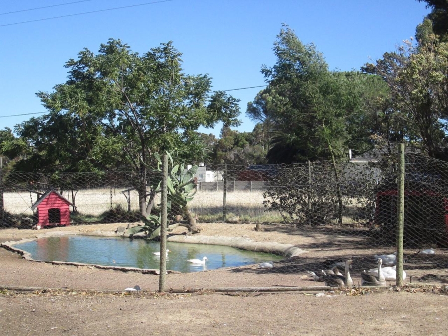 Commercial Property for Sale in Firlands Western Cape